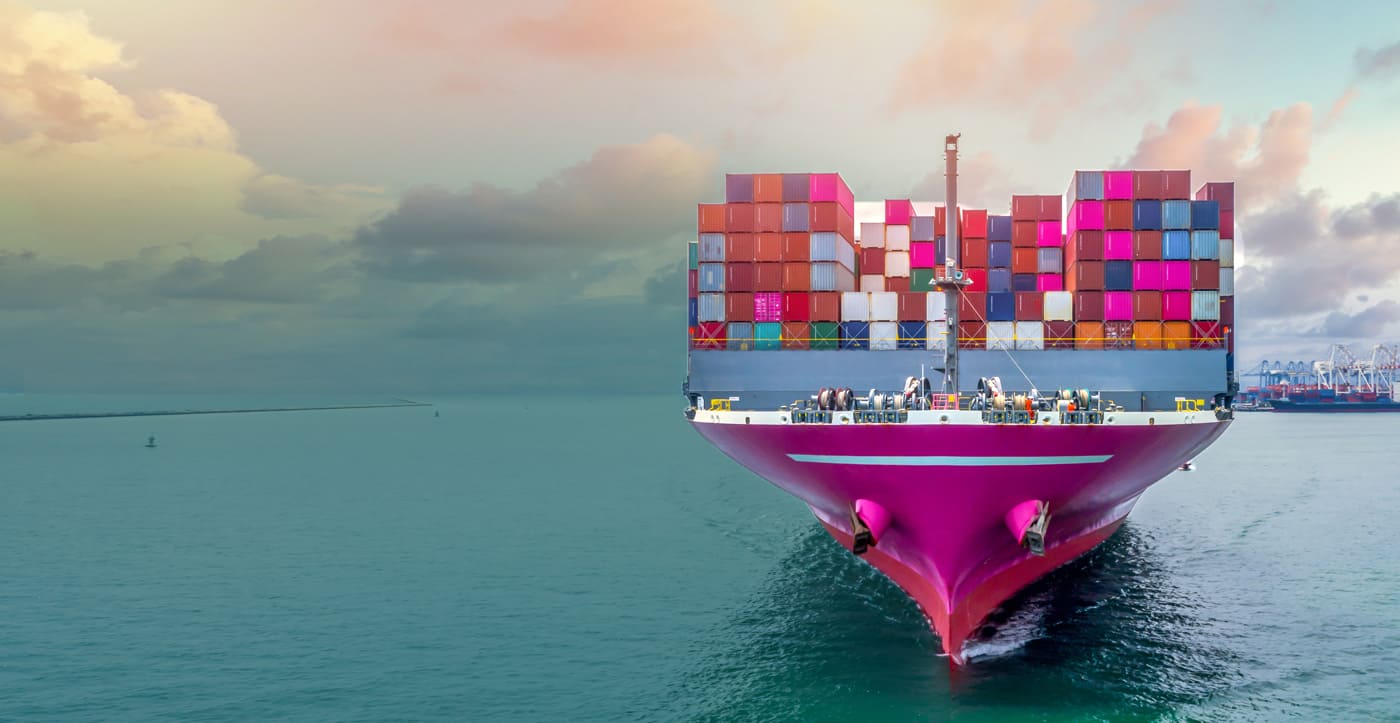 Shumba  Import Export 