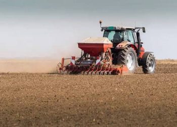 Seeder - Shumba Import Export